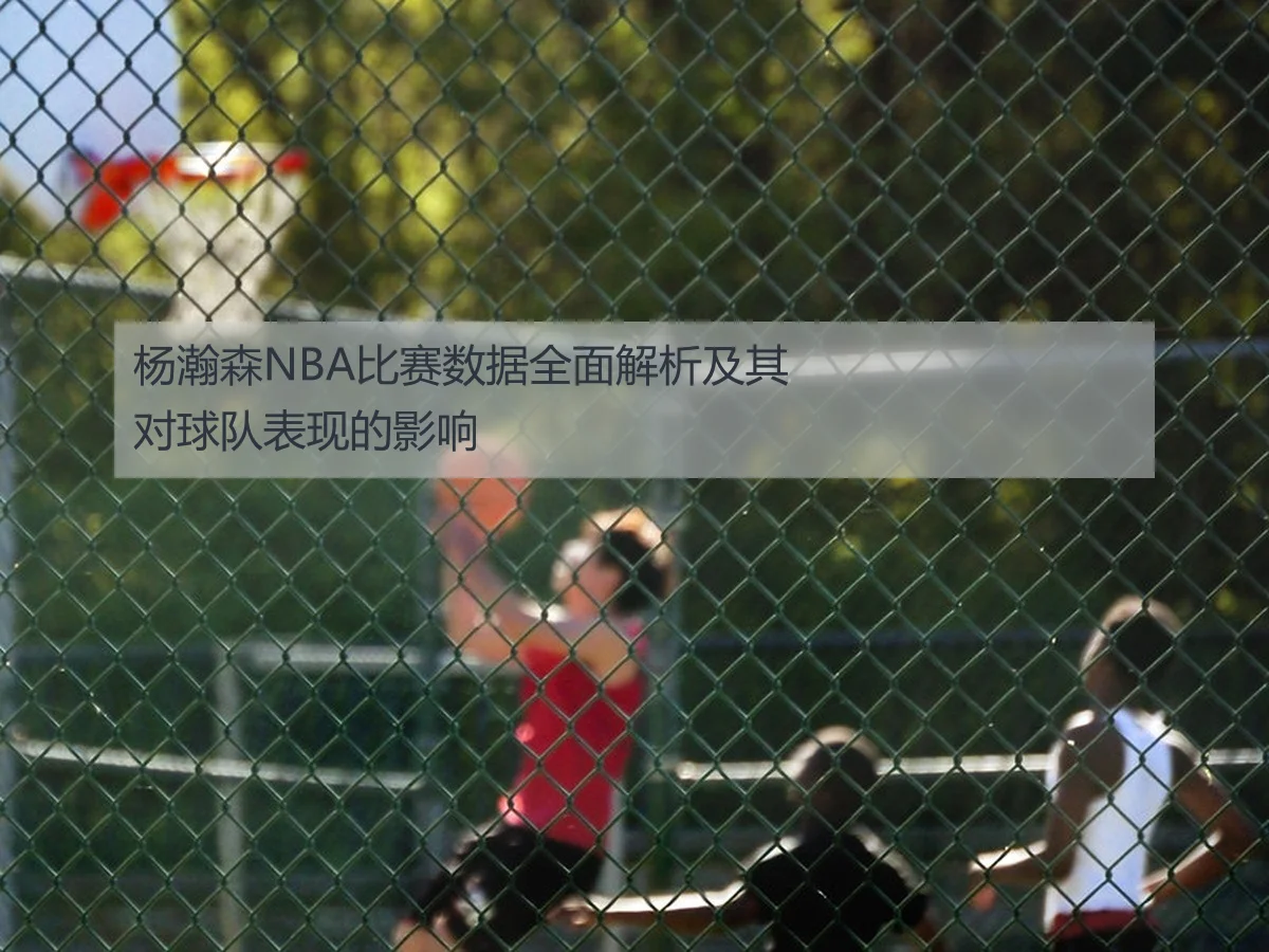 杨瀚森NBA比赛数据全面解析及其对球队表现的影响